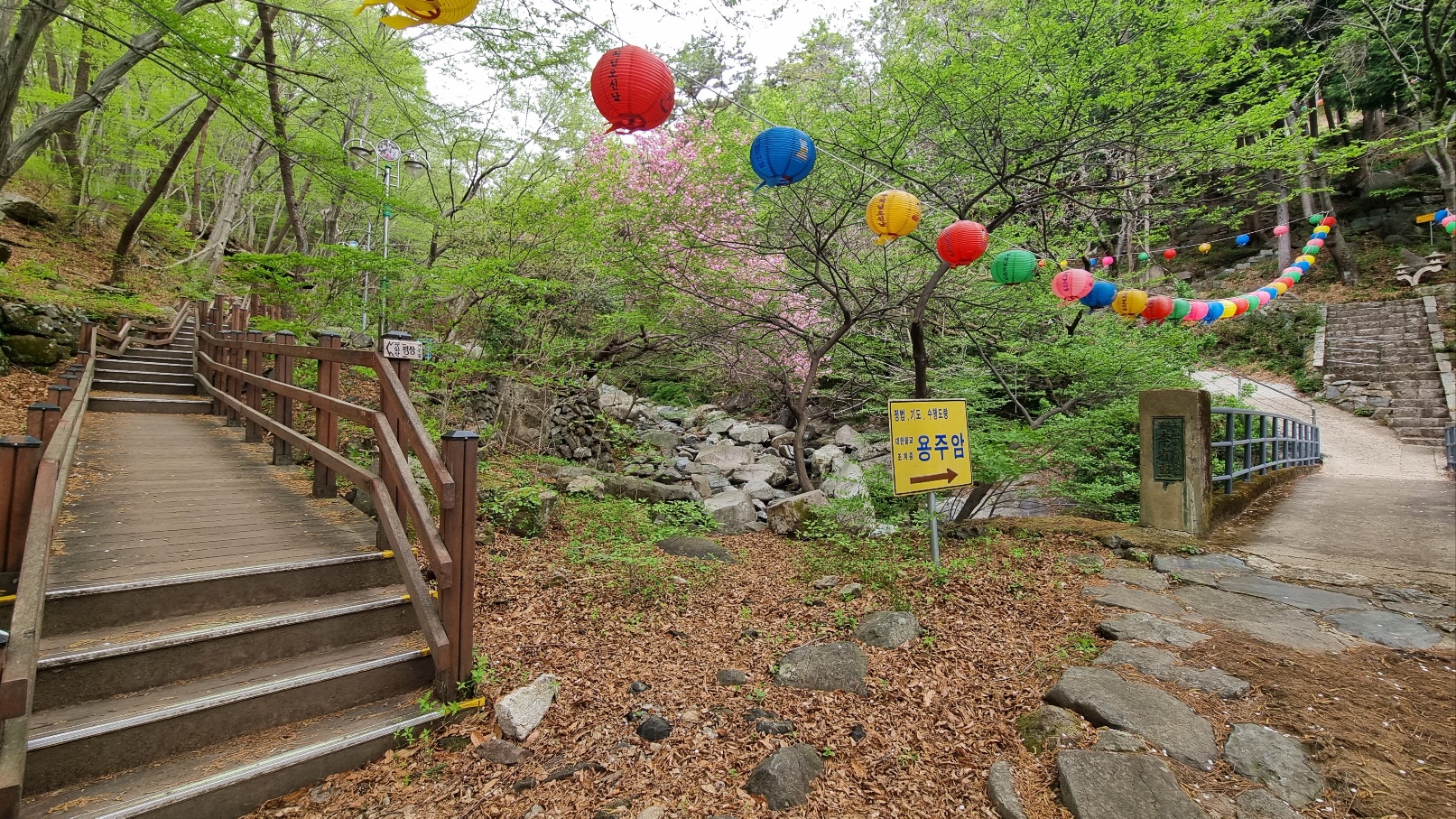 무학산 등산4