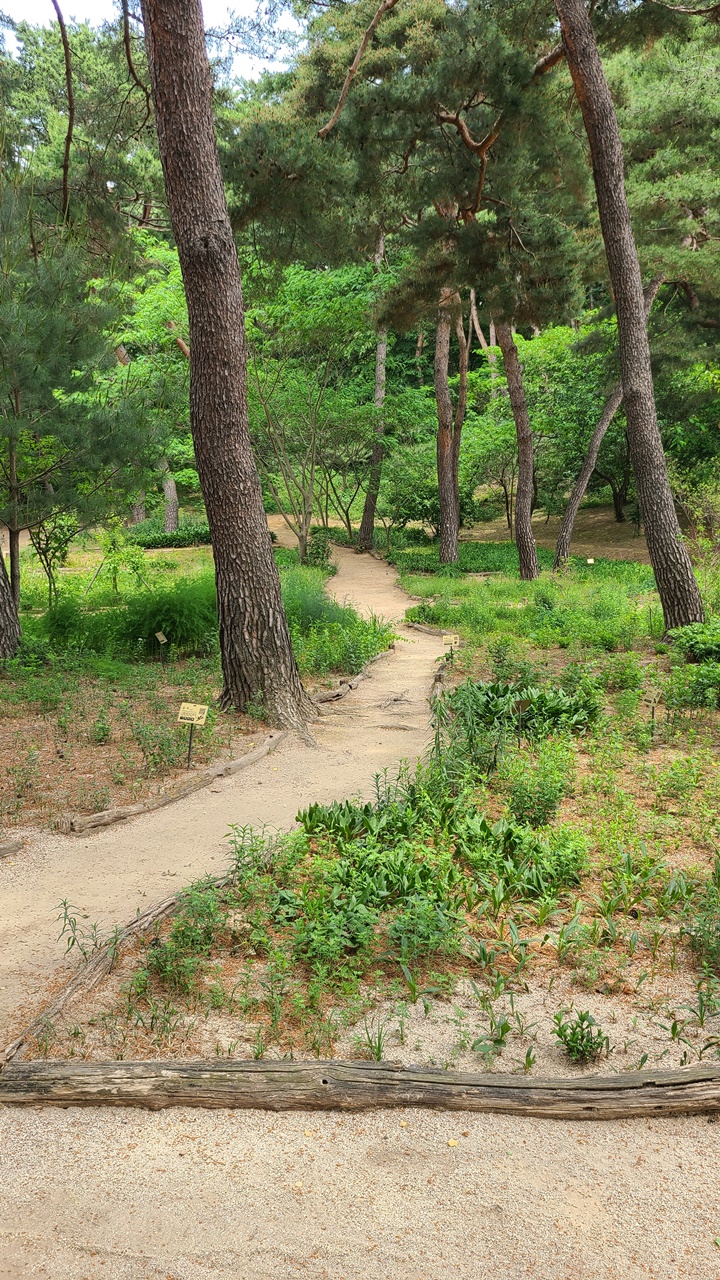 남양주-사릉