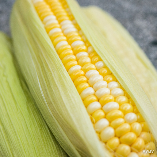 corn