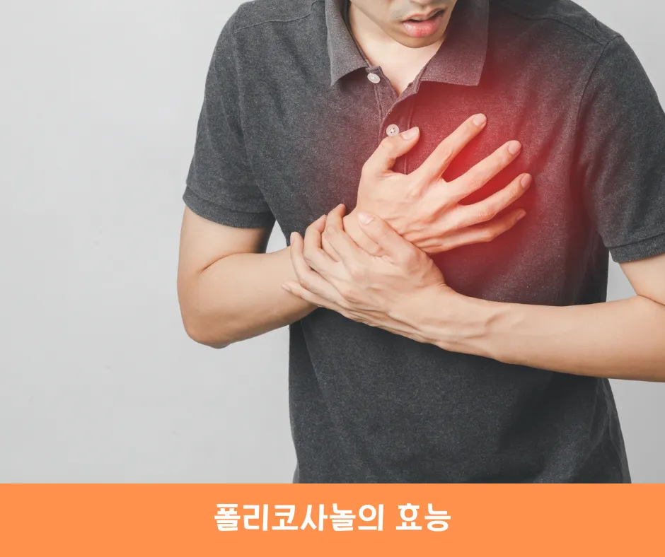 폴리코사놀의 효능
