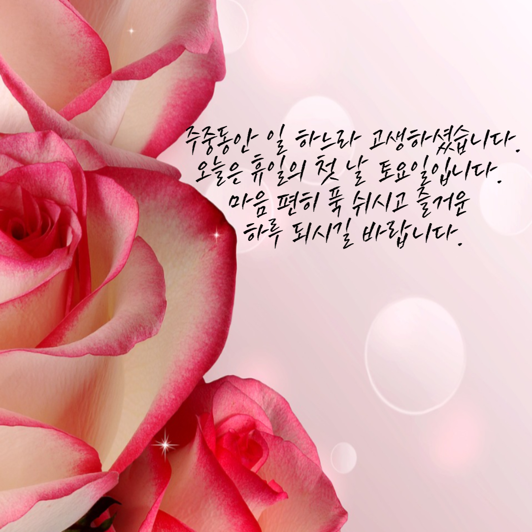  토요일 인사말 이미지, 문구 및 메세지 모음