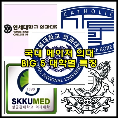  국내 메이저 대학 BIG5 의과대학 특징 총정리