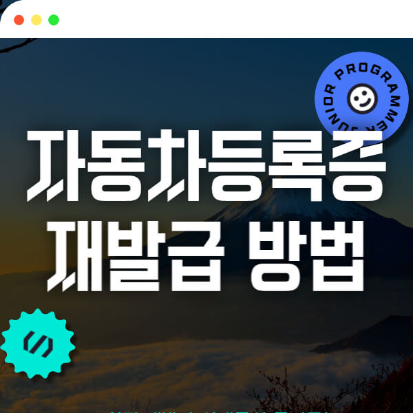 this is 자동차등록증 재발급