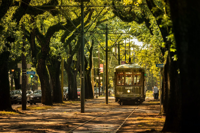 가든 디스트릭트 Garden District