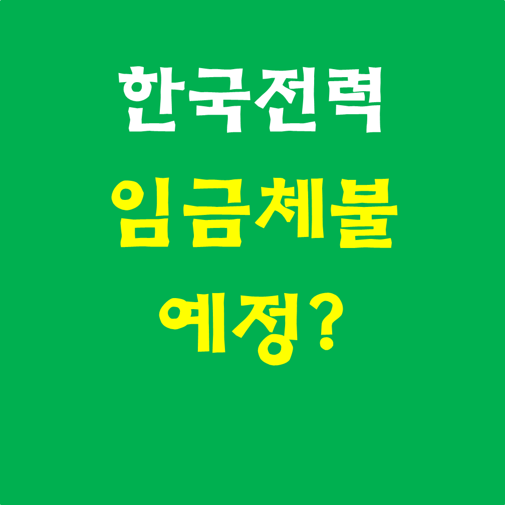  한국전력(한전) 임금 체불 예정? [돈벌어서 채권이자도 못낸다] #자본#실적#블라인드#민영화?