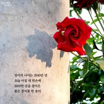 6월 인사말 모음 상황별 이미지 일러스트_4