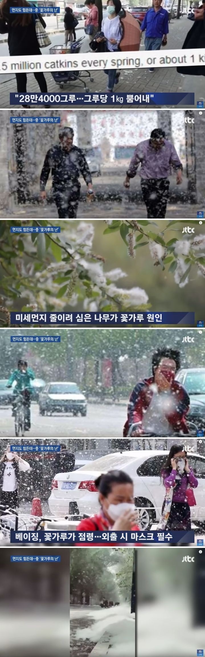  중국 미세먼지에 꽃가루첨가