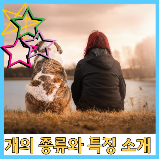  개의 종류와 특징 소개