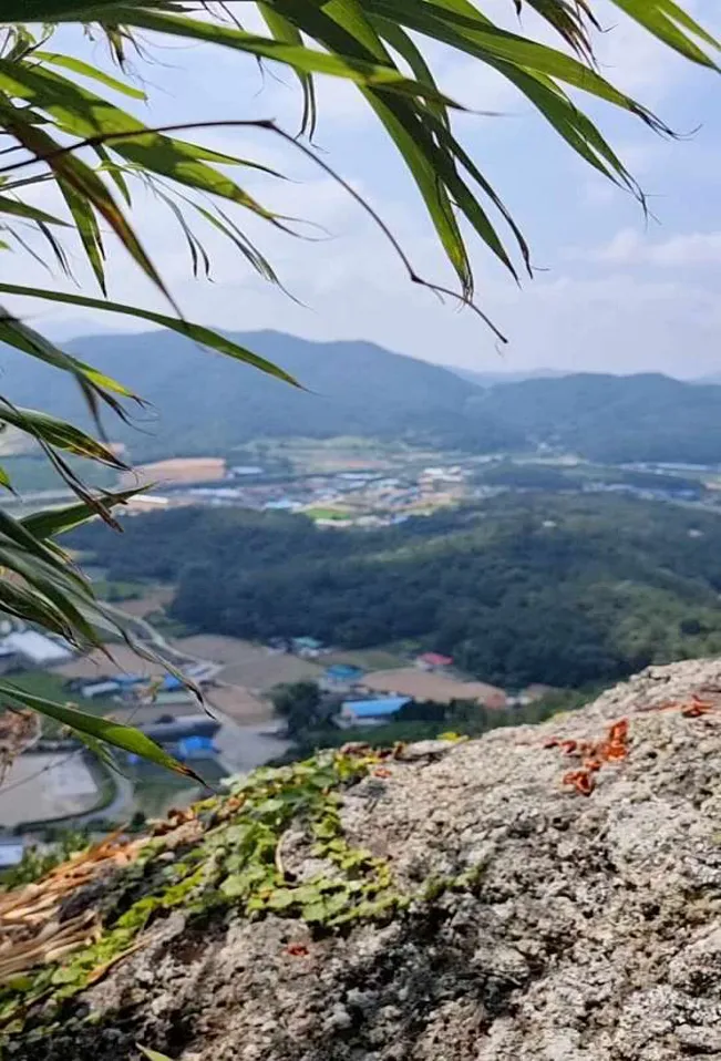 금골산
