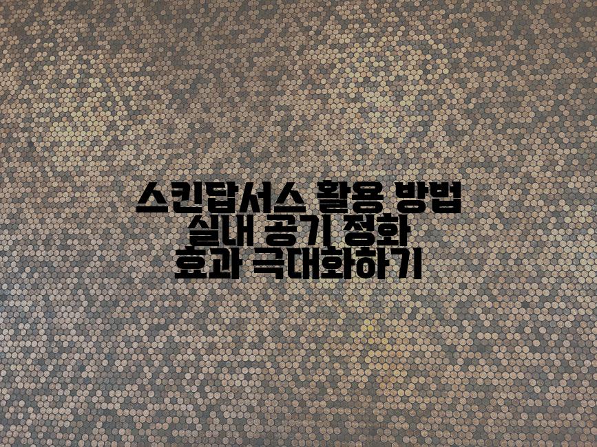 스킨답서스 활용 방법 실내 공기 정화 효과 극대화하기