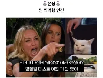 밈 의미 사례_8