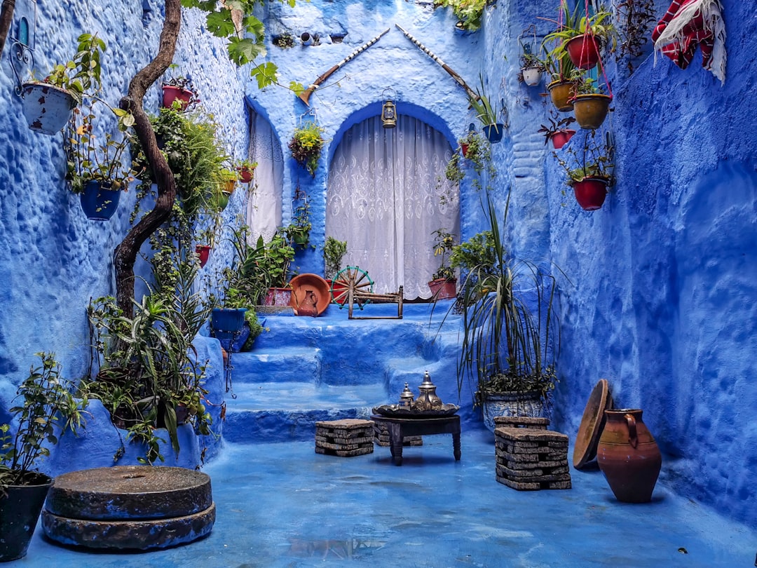 Blue House
