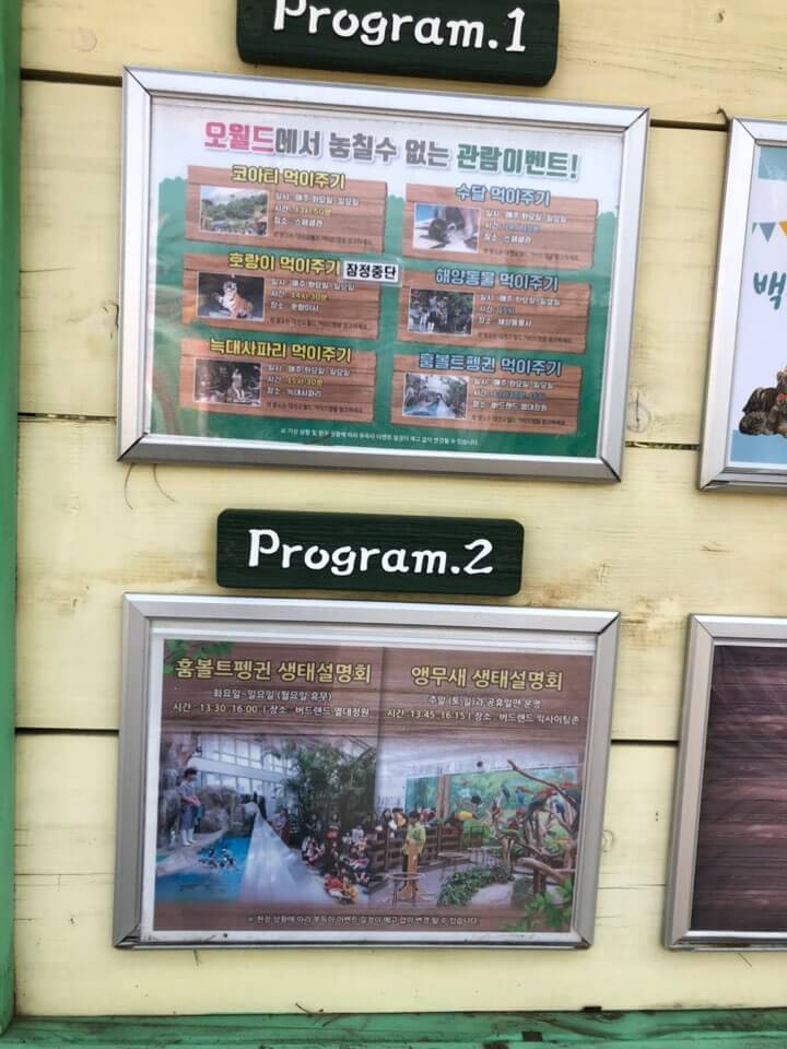 대전 오월드