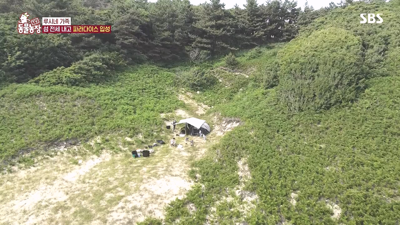 TV 동물농장.E1184.240812p-NEXT.mp4_20240811_172458.038.jpg