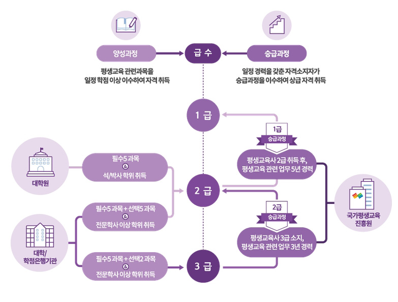 평생교육사 자격증 흐름