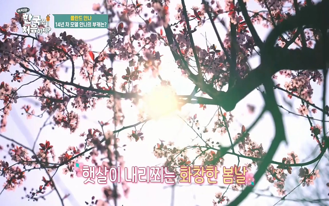 어서와 한국은 처음이지 시즌2.E210.220513p-NEXT.mp4_20220513_200029.274.jpg