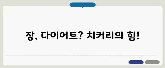 치커리 효능: 장 건강과 다이어트에 좋은 이유