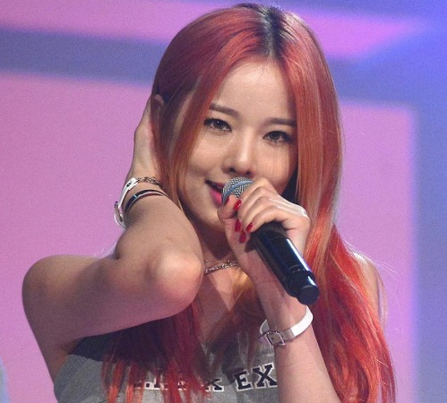  EXID 솔지 얼굴이 변했다? 나이, 성형, 갑상선 등 솔지에 관한 모든 정보