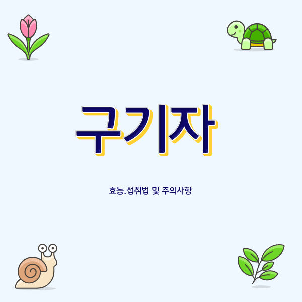  구기자의 다양한 효능과 부작용 섭취방법