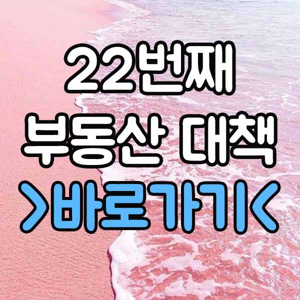  22번째 부동산 대책