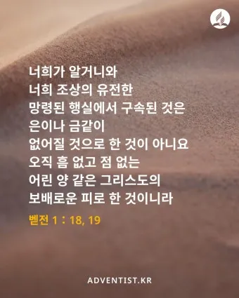 베드로전서 2장 9절 성경말씀 - 너희는 택하신 족속이요 왕 같은 제사장들이요_24