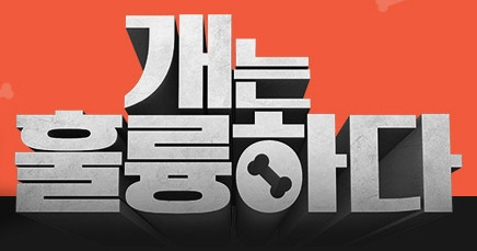  개는 훌륭하다 문제견들 보면 하는 생각