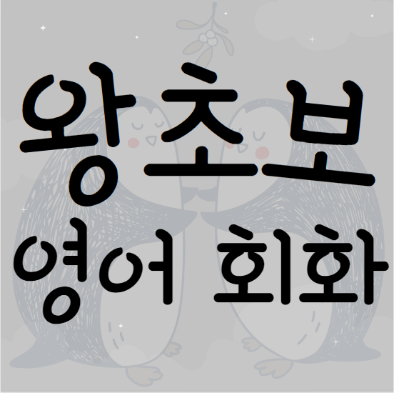  대구남구 일대일 기초 성인 영어회화 비즈니스 직장인 주부 영어회화 토익 토플 영어과외