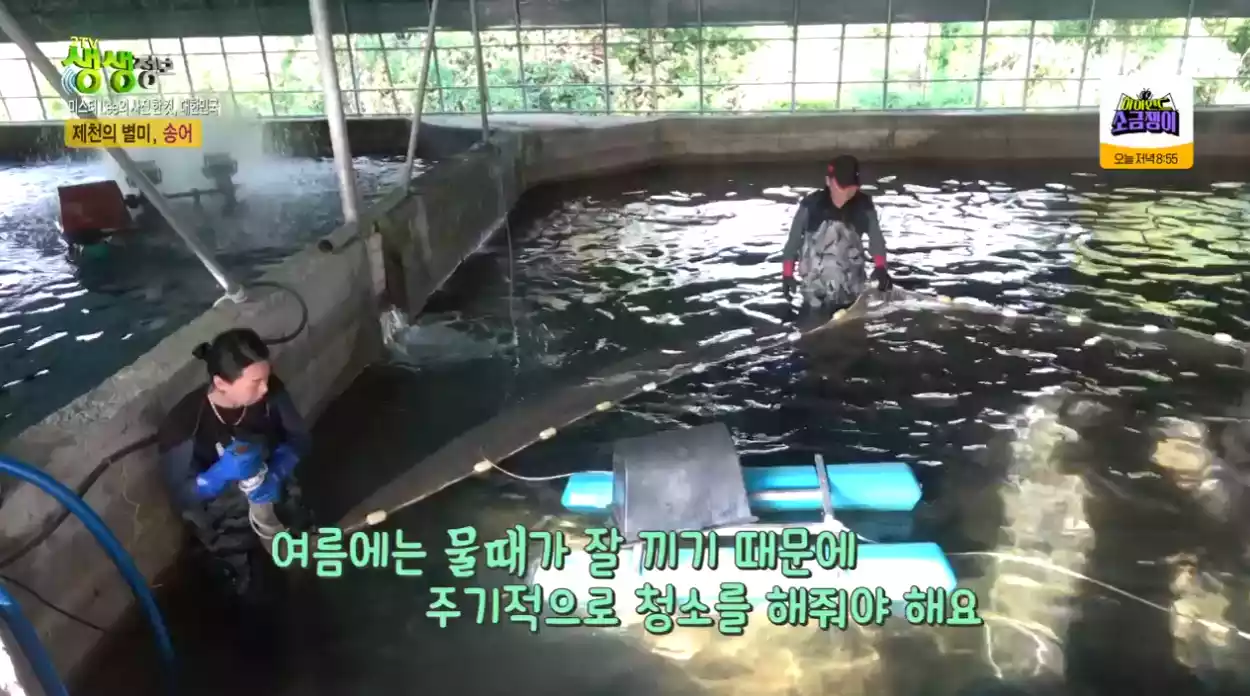 수조 안 모습