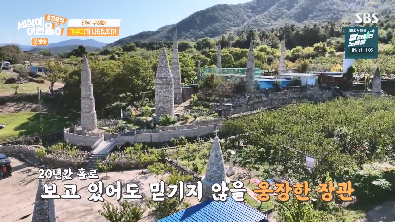 순간포착 세상에 이런일이.E1251.231105p-NEXT.mp4_20231105_171718.301.jpg