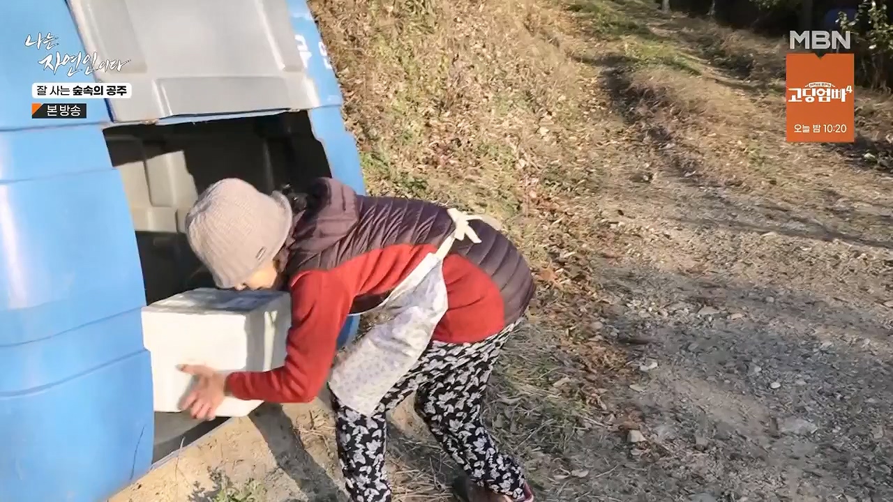 나는 자연인이다.E582.231130p-NEXT.mp4_20231130_200821.785.jpg