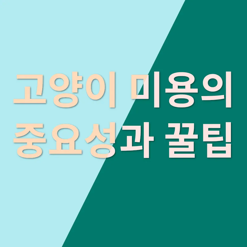 반려동물 장례_1