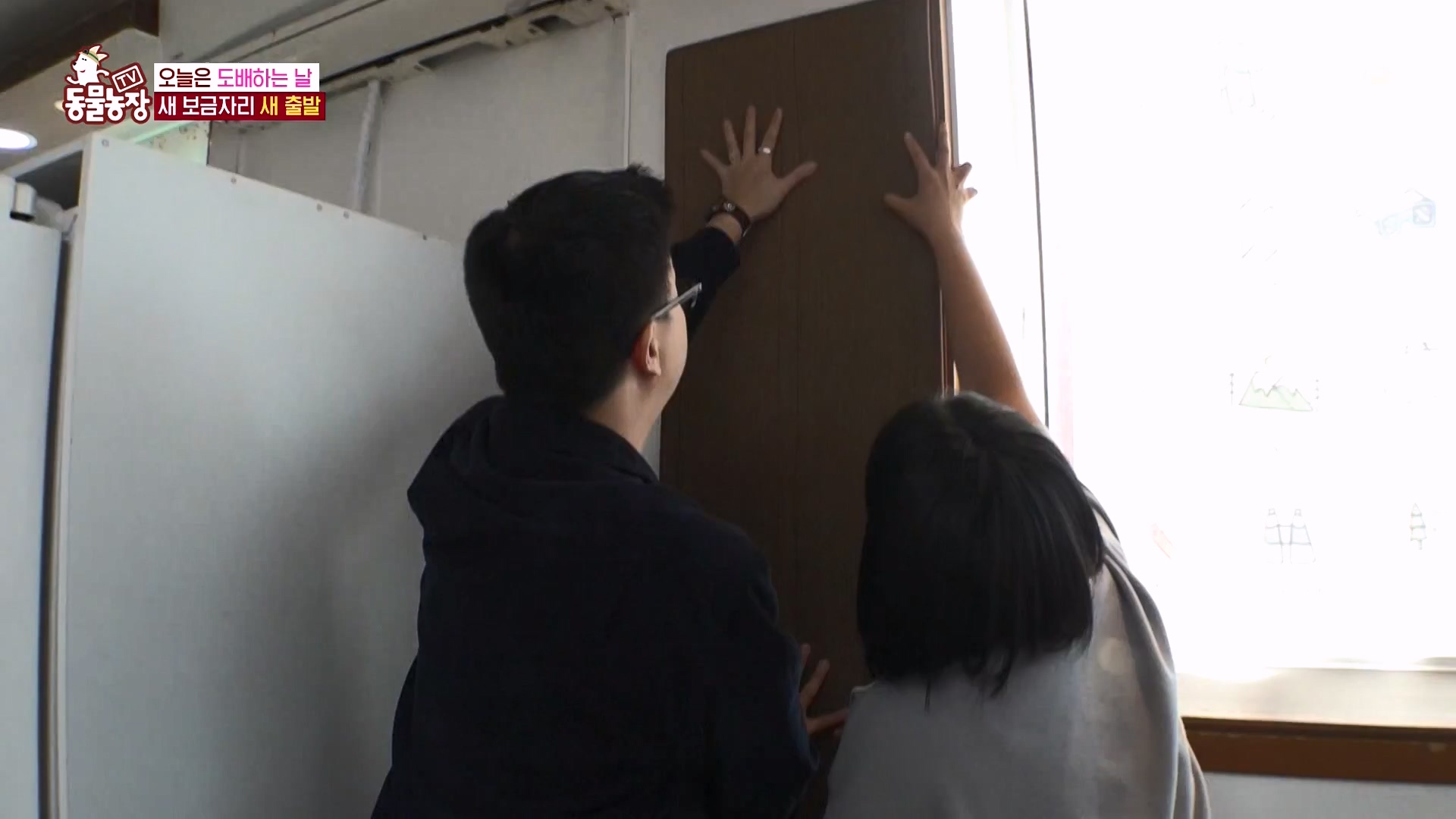 TV 동물농장.E1162.240310p-NEXT.mp4_20240310_162854.348.jpg