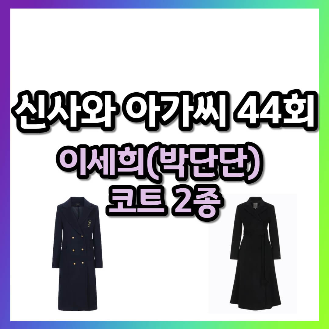 박단단 코트 정보