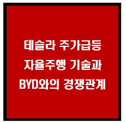 테슬라 주가급등, 자율주행 기술과 BYD와의 경쟁관계 이미지