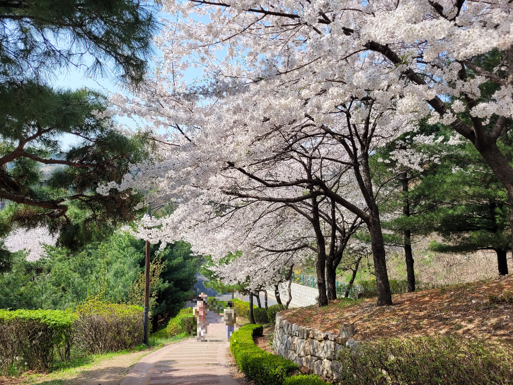 인왕산 성곽길