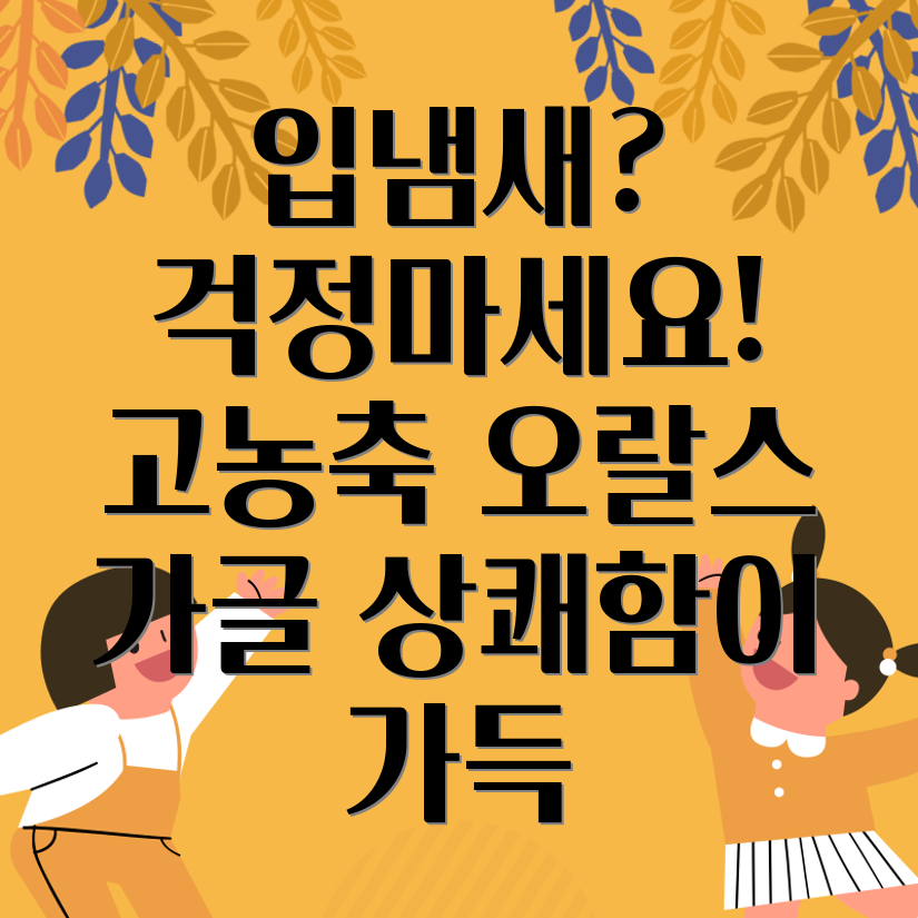 고농축 라이브 오랄스 가글