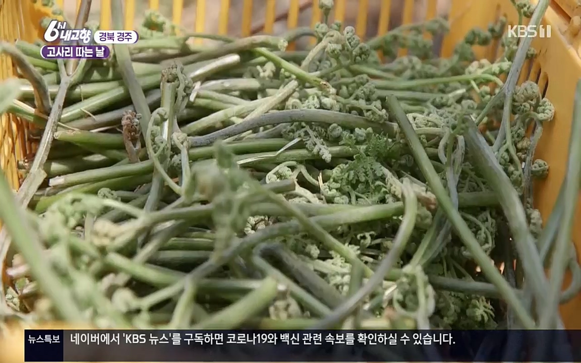 6시 내고향.E7518.220426p.H264-F1RST.mp4_20220504_192755.993.jpg