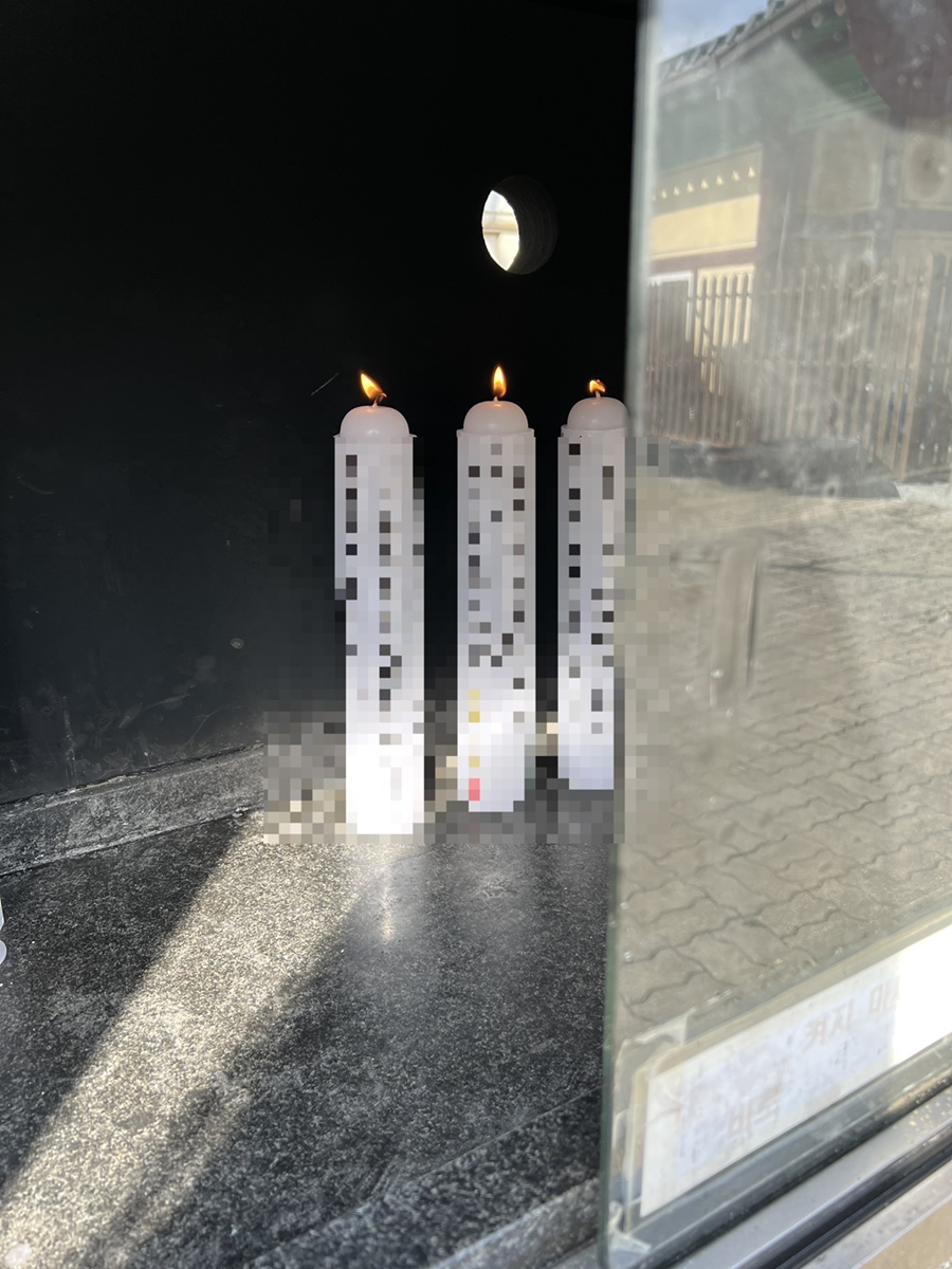 혼자가기좋은 7