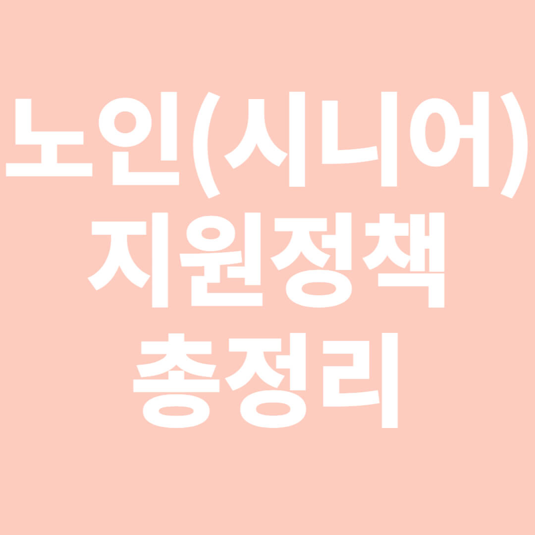 노인(시니어)지원 정책 총정리