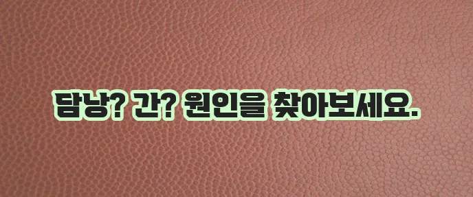 오른쪽 갈비뼈 아래 통증, 혹시 무슨 문제일까요?