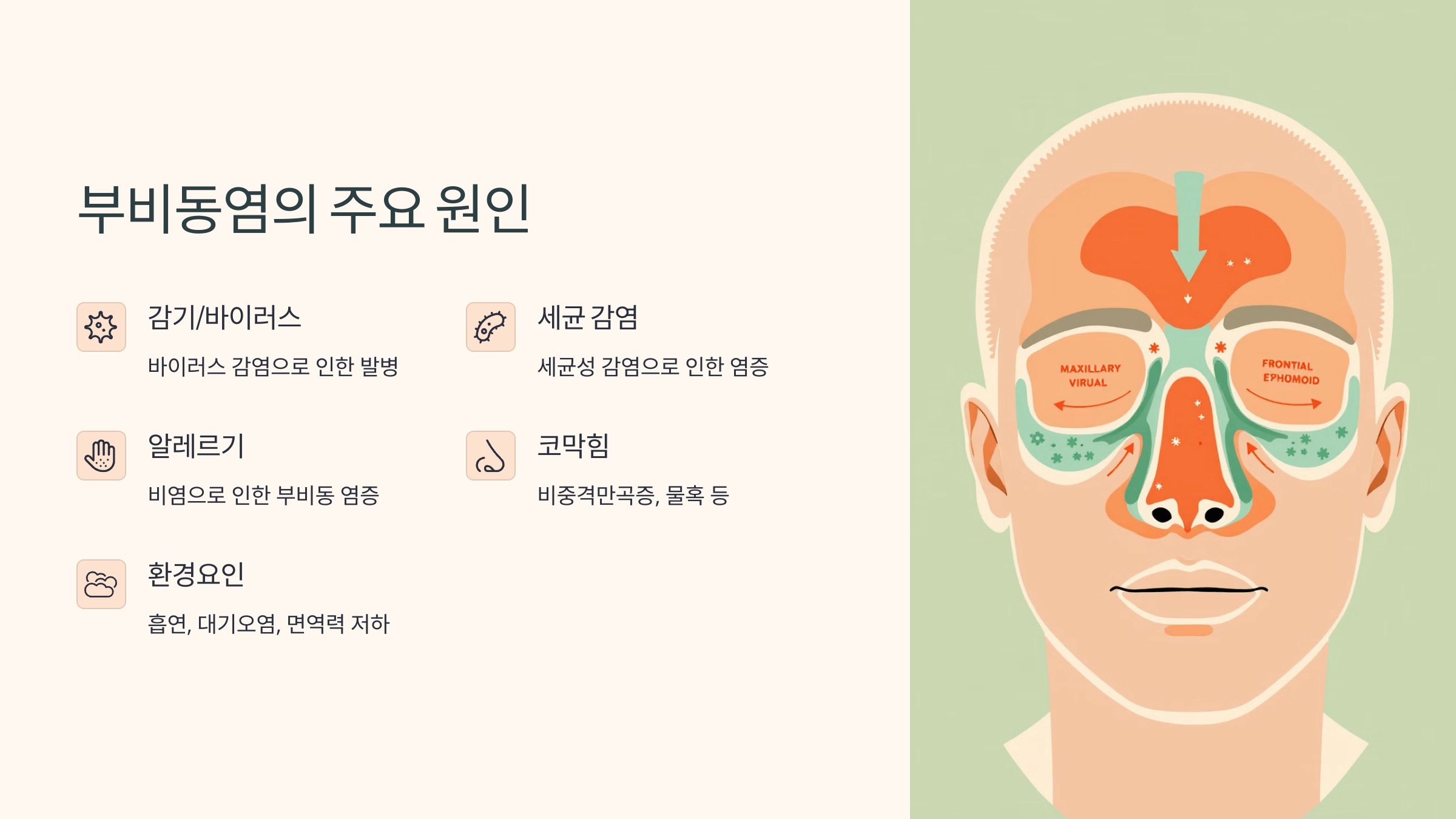 부비동염과 관련된 사진입니다.