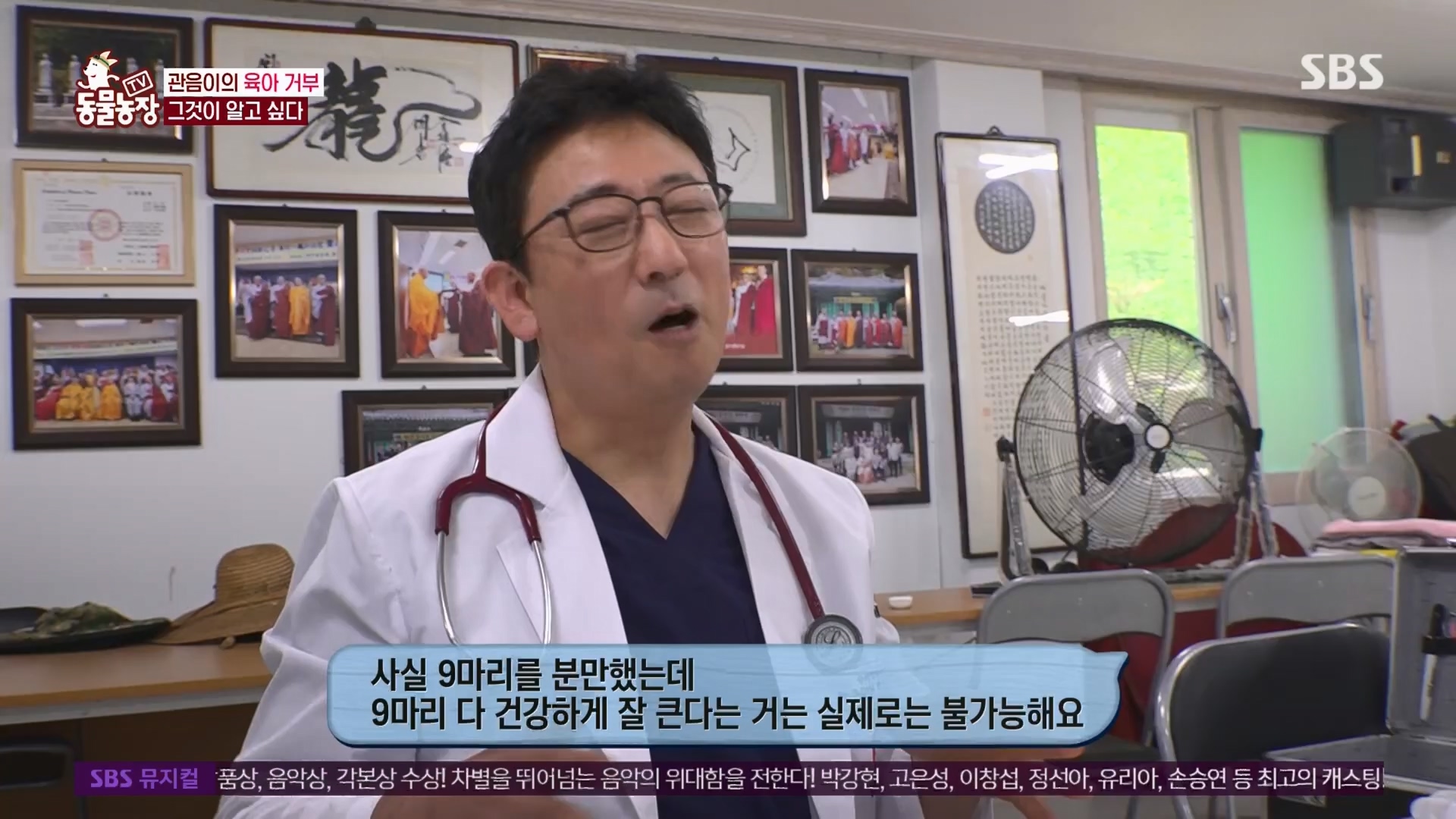 TV 동물농장.E1130.230723p.H264-F1RST.mp4_20230723_171203.647.jpg