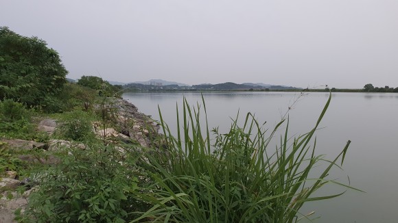 낚시-(2021.08.13~08.14) 아산호(평택호) 9