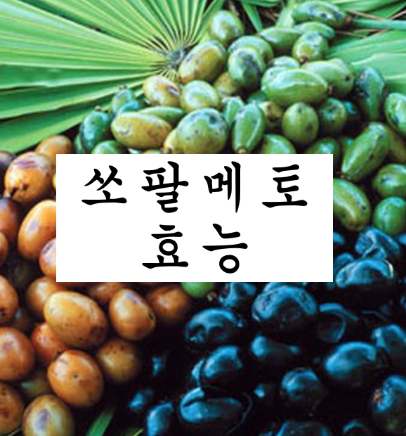  쏘팔메토 효능 및 부작용 확인