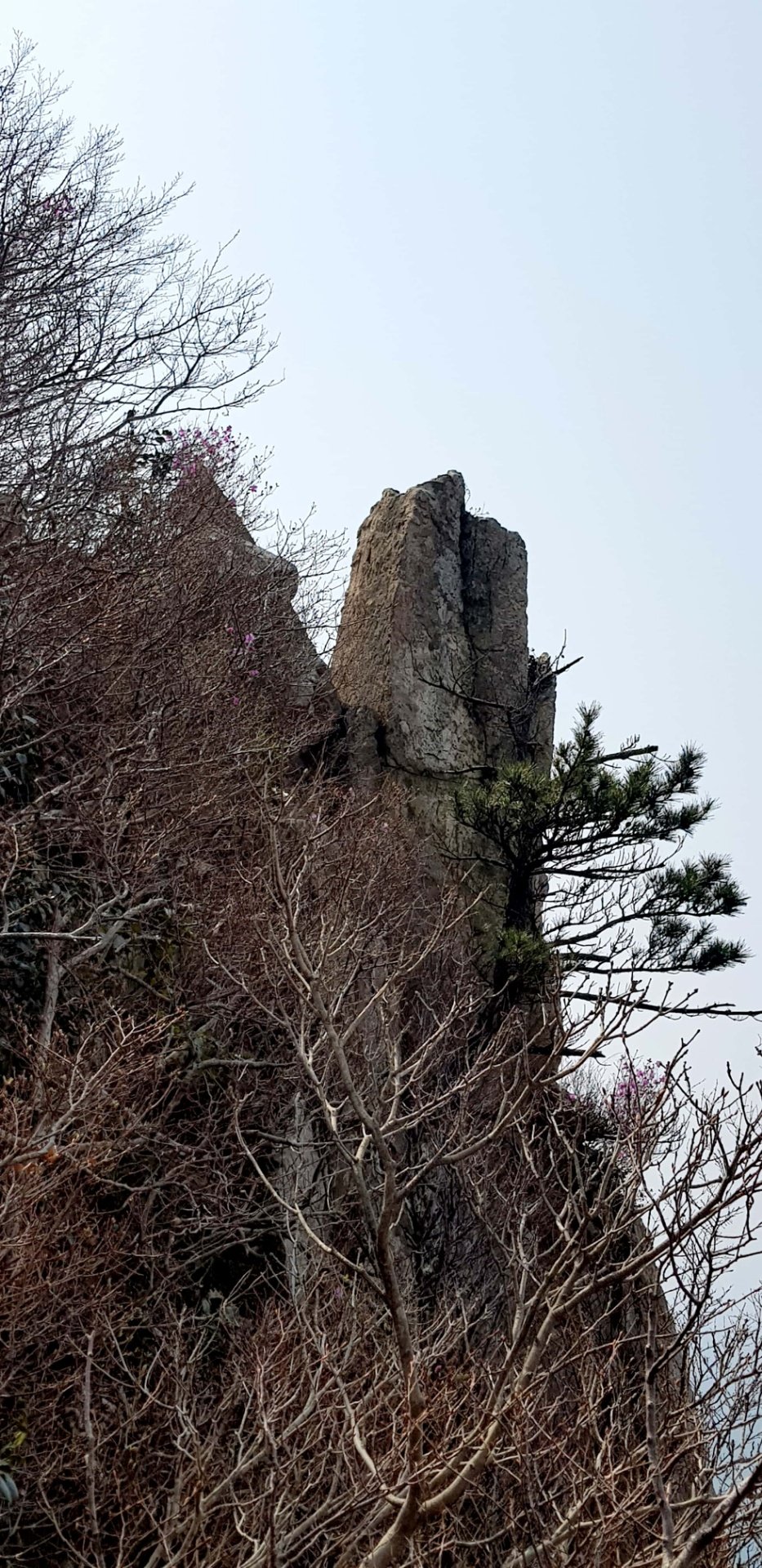 거제 망산