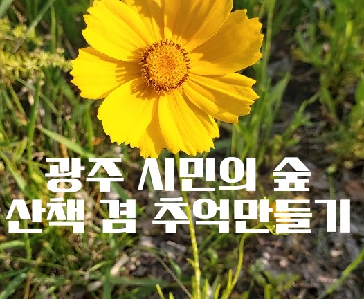 광주 교통 공원 산책 겸 추억 만들기