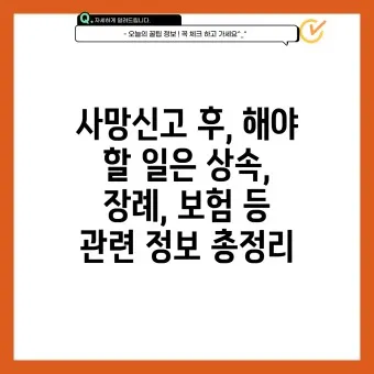 사망 신고 필요 서류 기한 절차_23