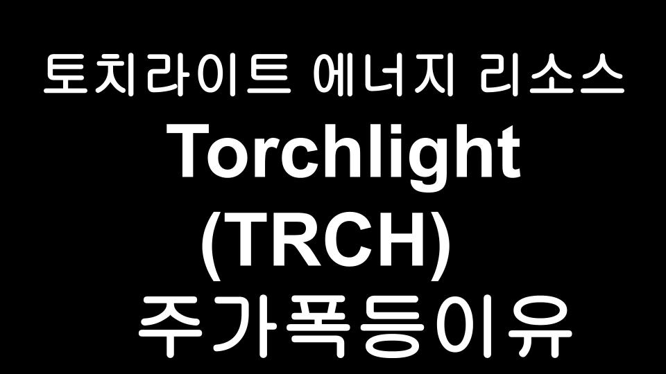  토치라이트 에너지(TRCH) - Torchlight Energy Resources 주가폭등 이유!!!!!!!