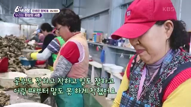 6시 내고향_김장의 필수품 평창 고랭지 배추 - 강원 평창 [슬기로운 두 반장] 슬기로운 어르신들을 찾아서 (충북 제천) [붕붕이가 간다] 철원에 무슨 일이 (강원 철원) [인생은 행복海] 우리는 환상의 사촌 (경남 통영).ts_20231117_205448.525.jpg