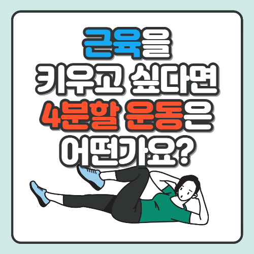 4분할